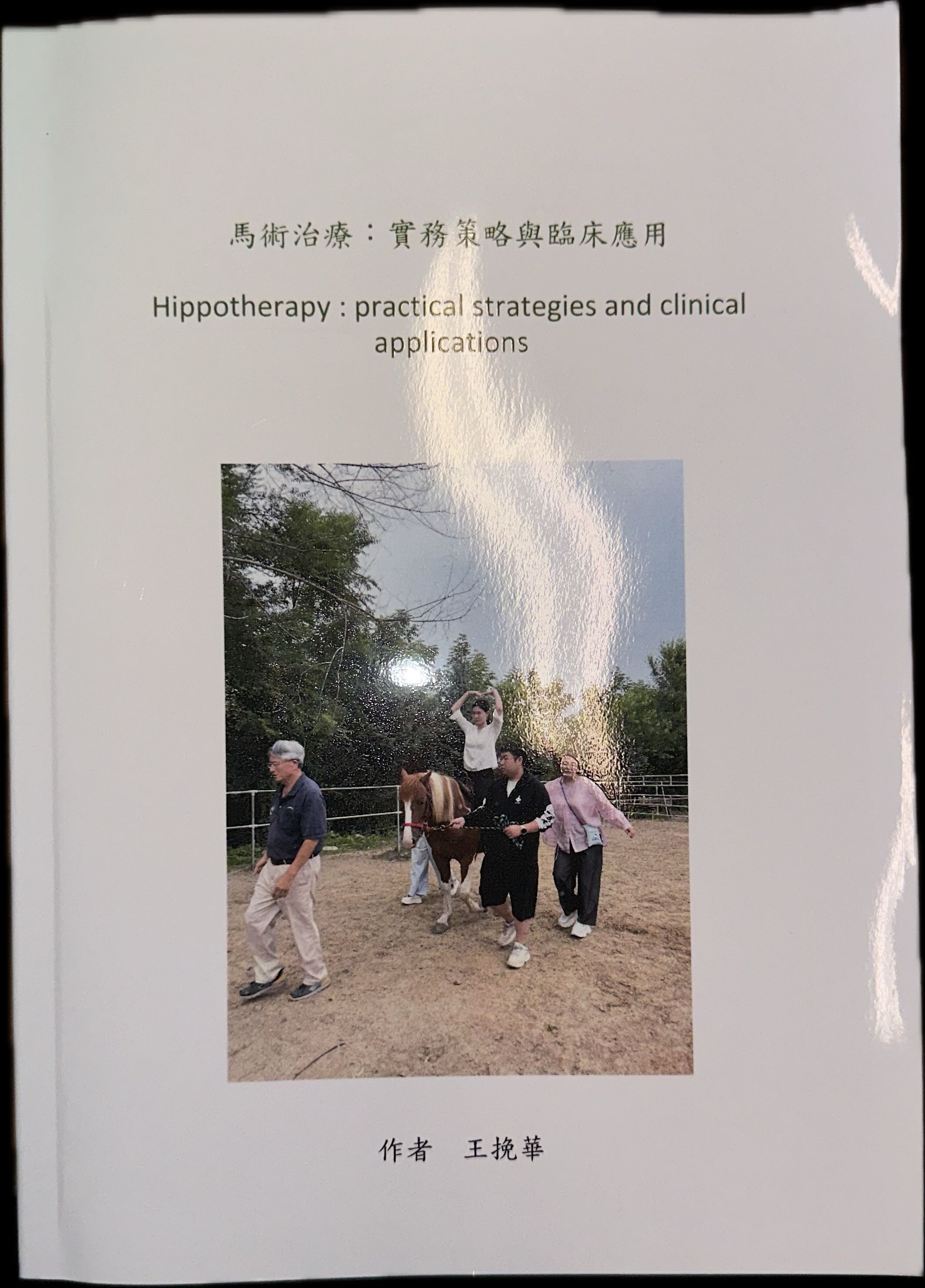 馬術治療：實務策略與臨床應用 封面